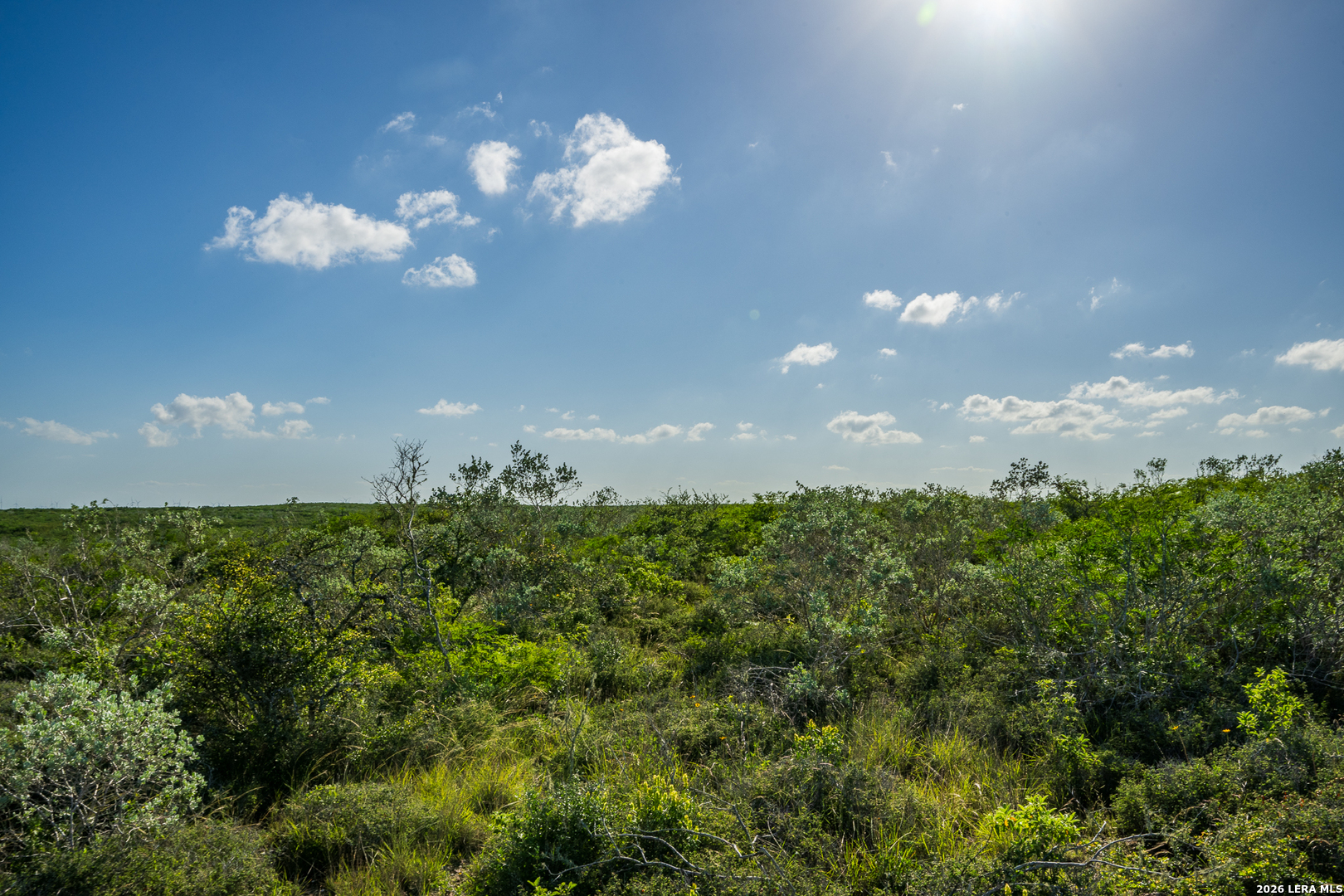 111 Los Lomas Ranch Road Freer TX 78357