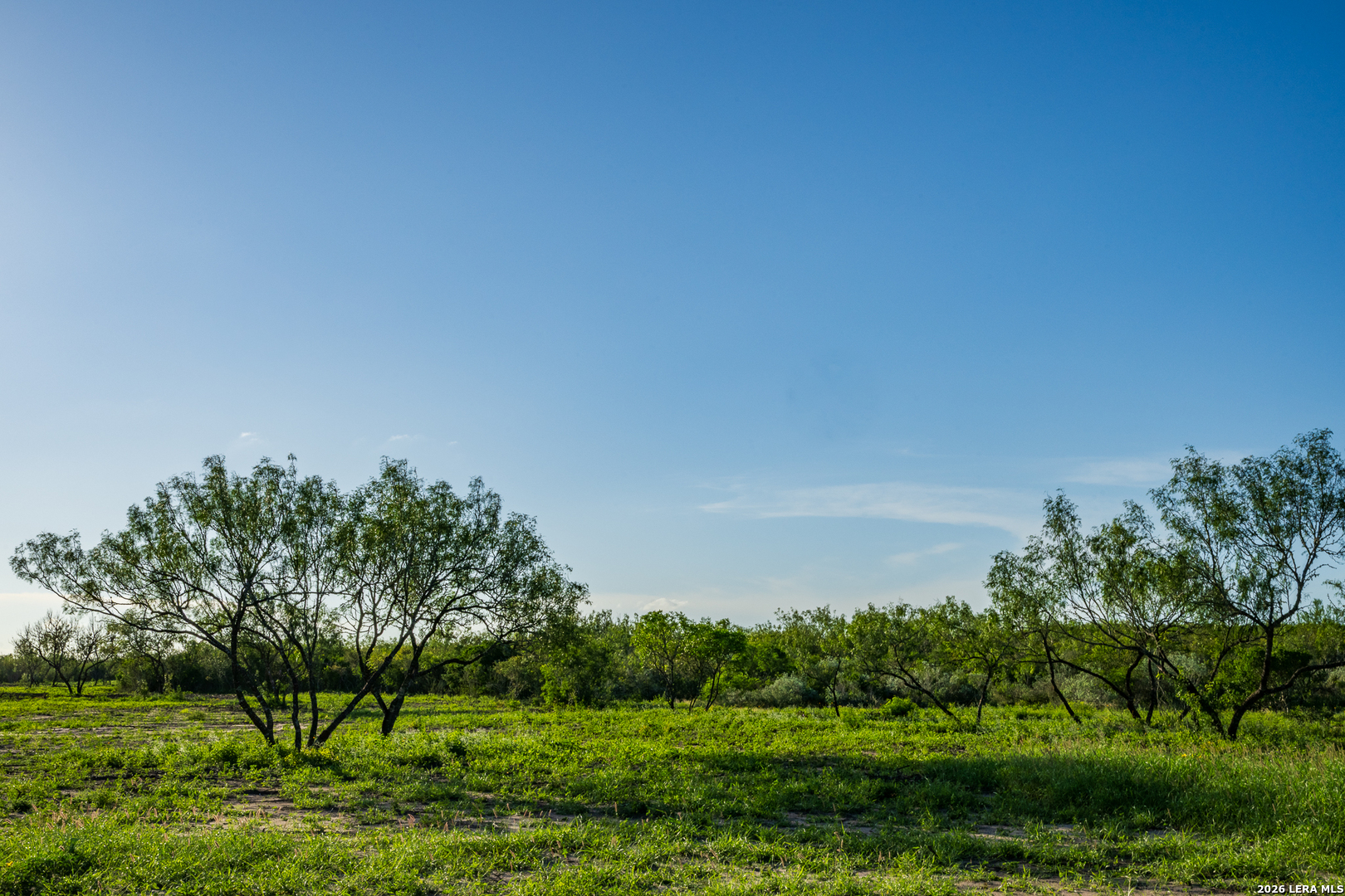 111 Los Lomas Ranch Road Freer TX 78357