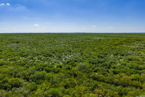 111 Los Lomas Ranch Road Freer TX 78357