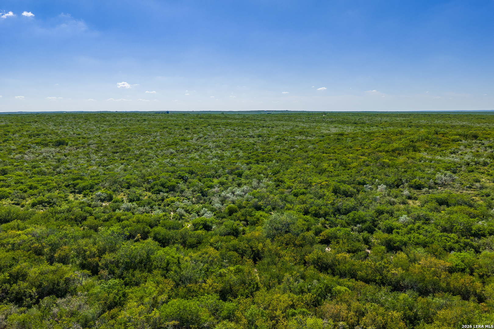 111 Los Lomas Ranch Road Freer TX 78357