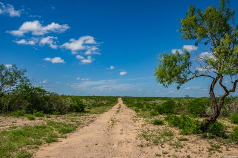 111 Los Lomas Ranch Road Freer TX 78357