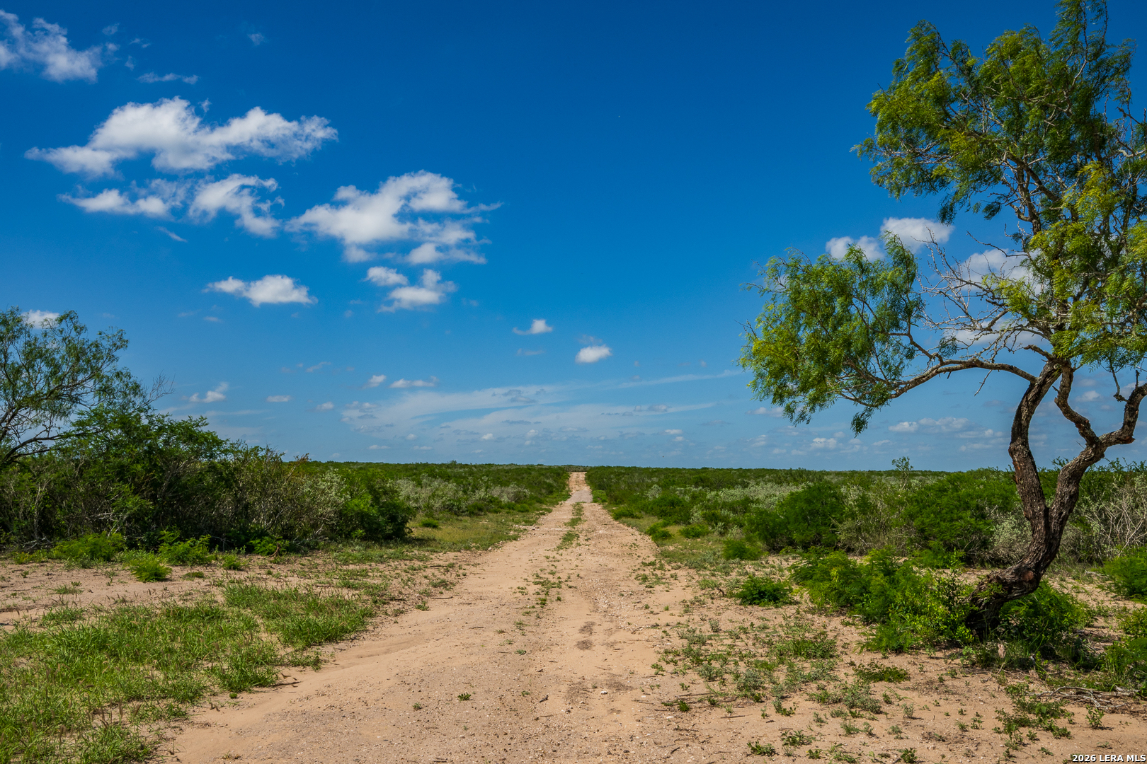 111 Los Lomas Ranch Road Freer TX 78357