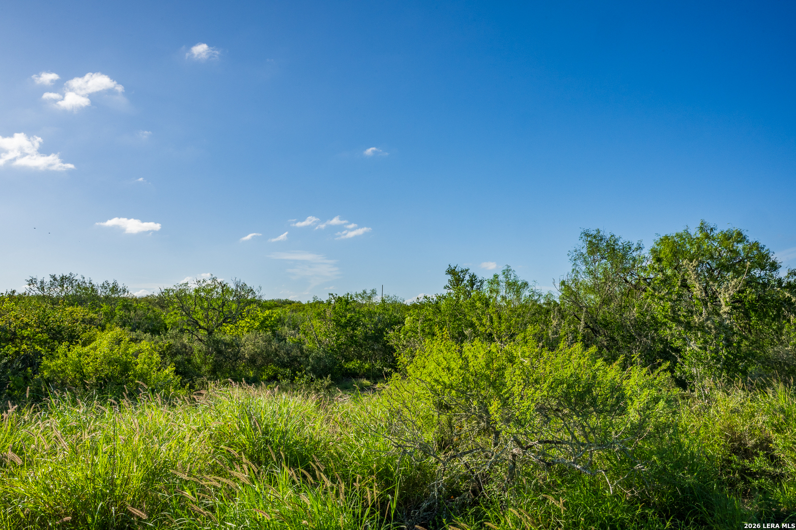 111 Los Lomas Ranch Road Freer TX 78357