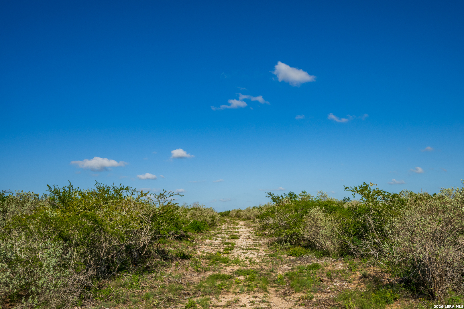 111 Los Lomas Ranch Road Freer TX 78357