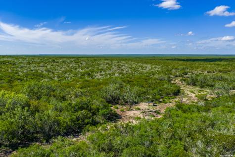 111 Los Lomas Ranch Road Freer TX 78357