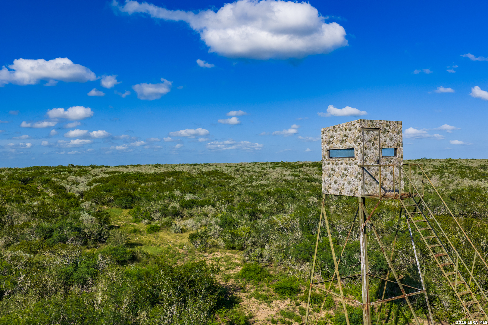 111 Los Lomas Ranch Road Freer TX 78357