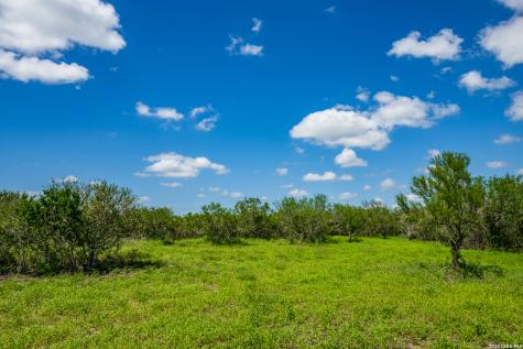111 Los Lomas Ranch Road Freer TX 78357