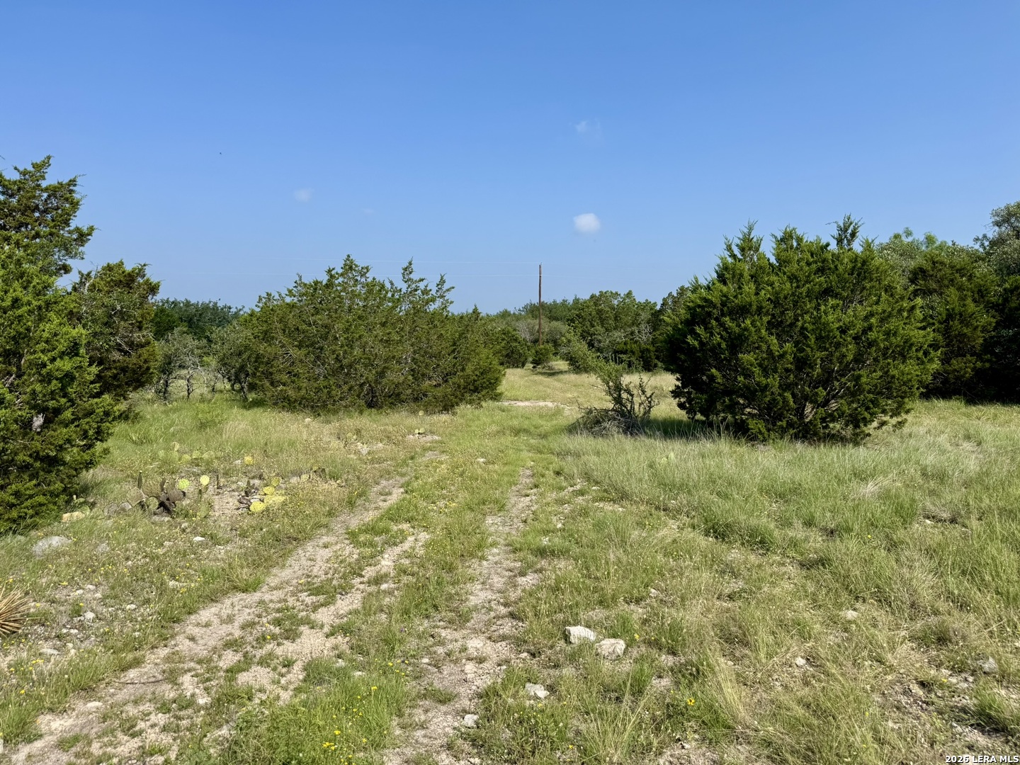 399 Spike Drive Fort Mckavett TX 76841