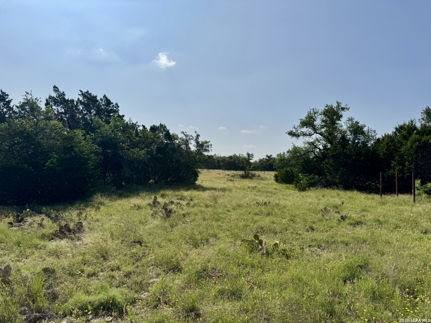399 Spike Drive Fort Mckavett TX 76841