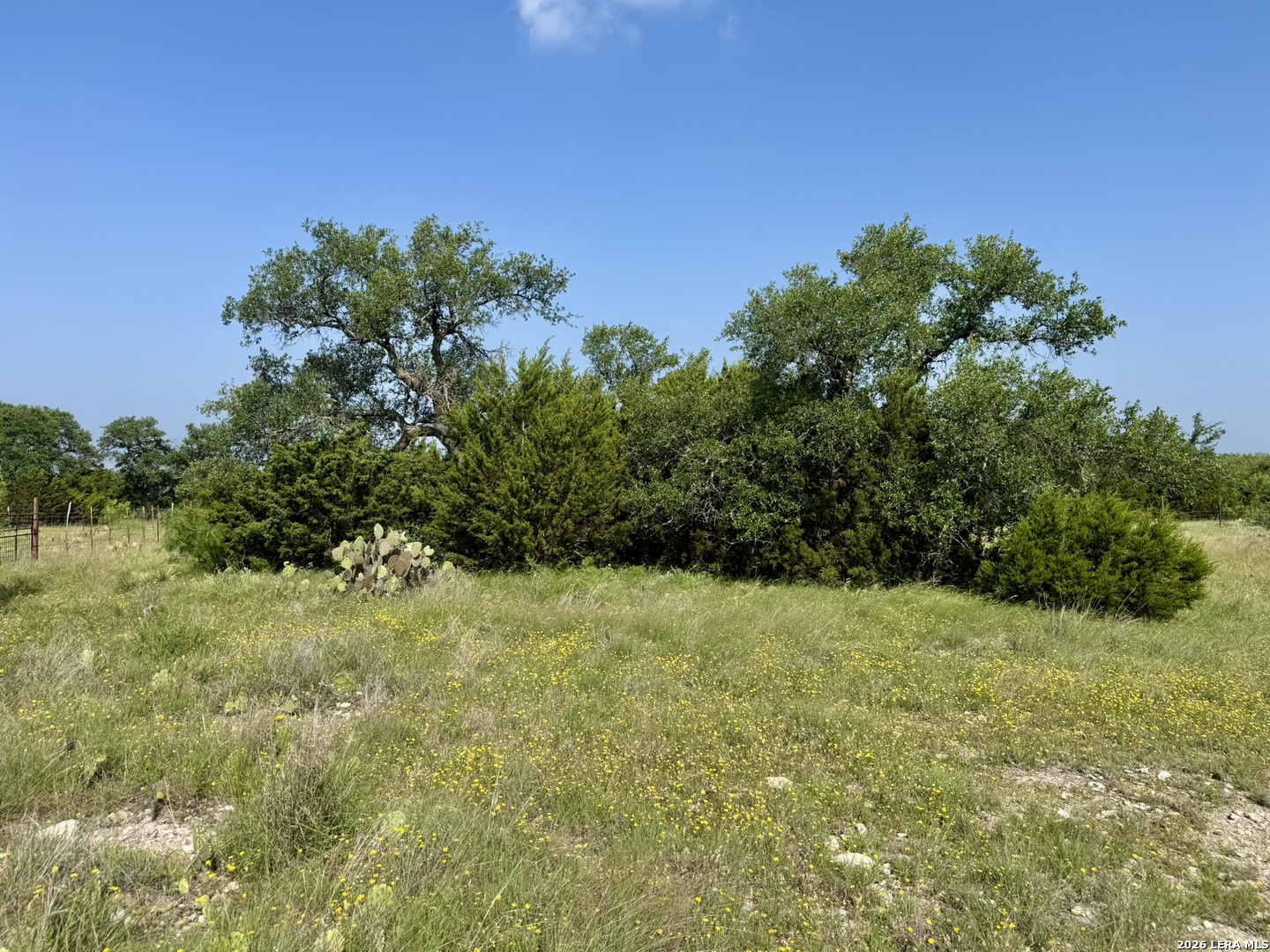 399 Spike Drive Fort Mckavett TX 76841