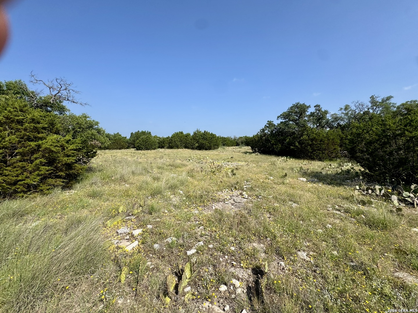 399 Spike Drive Fort Mckavett TX 76841