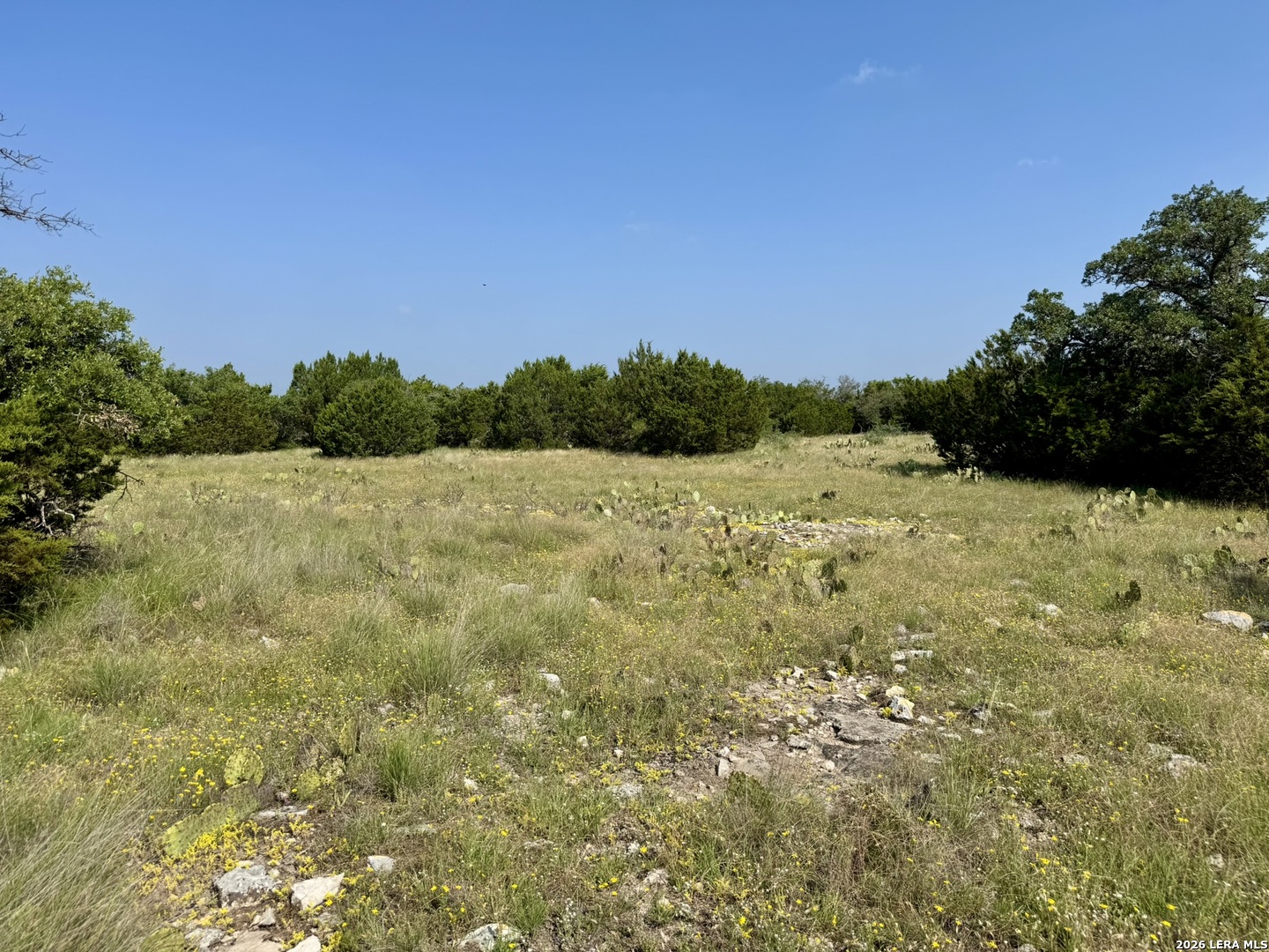 399 Spike Drive Fort Mckavett TX 76841