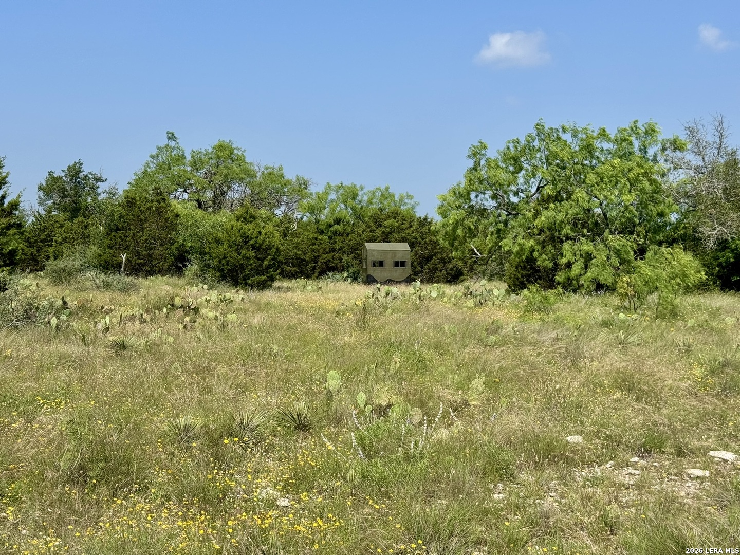 399 Spike Drive Fort Mckavett TX 76841
