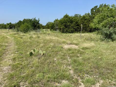 399 Spike Drive Fort Mckavett TX 76841