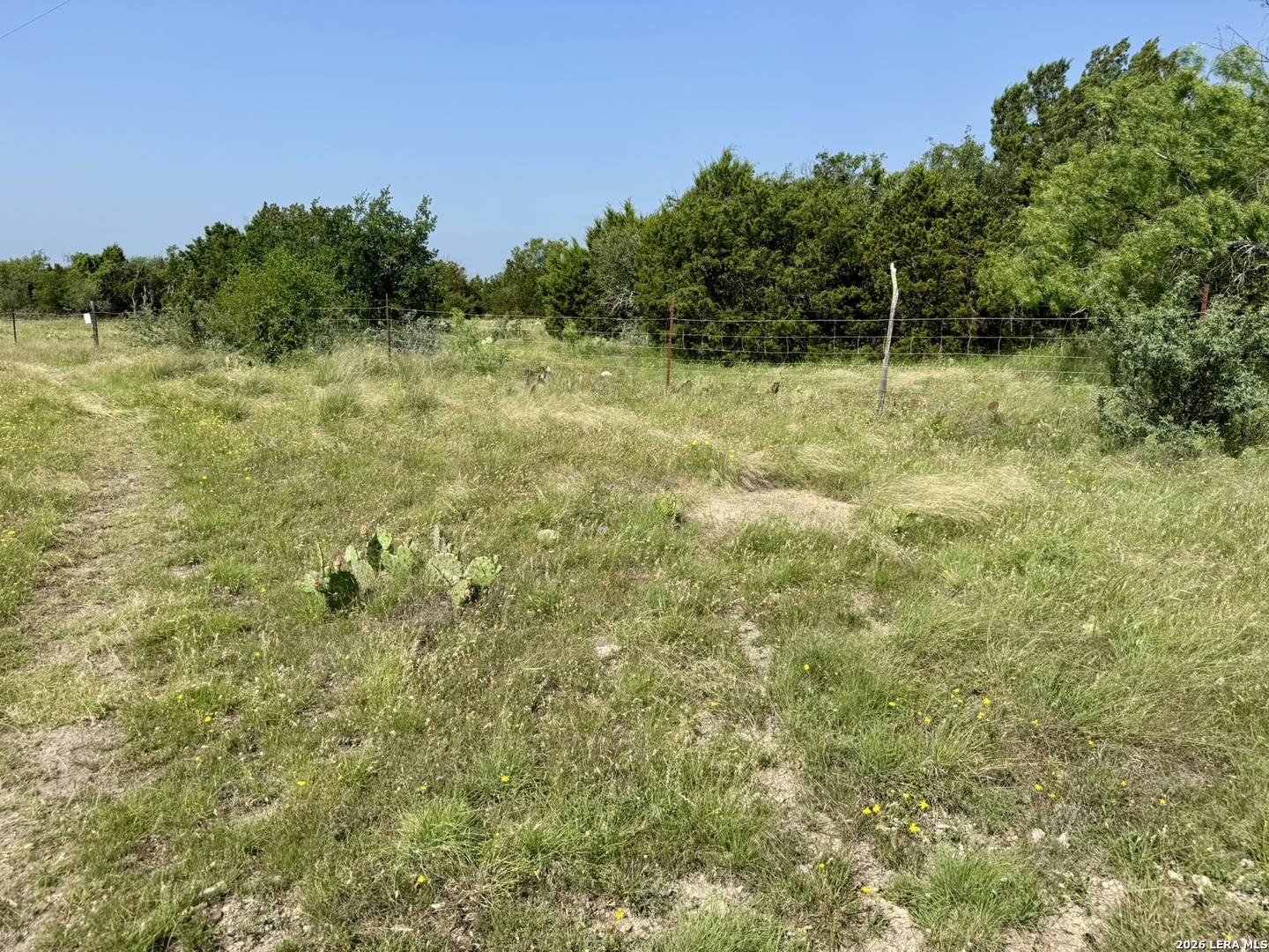 399 Spike Drive Fort Mckavett TX 76841