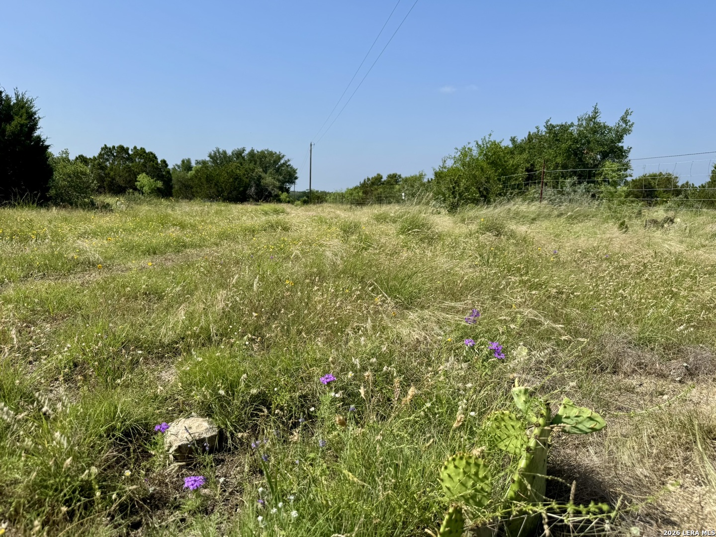 399 Spike Drive Fort Mckavett TX 76841