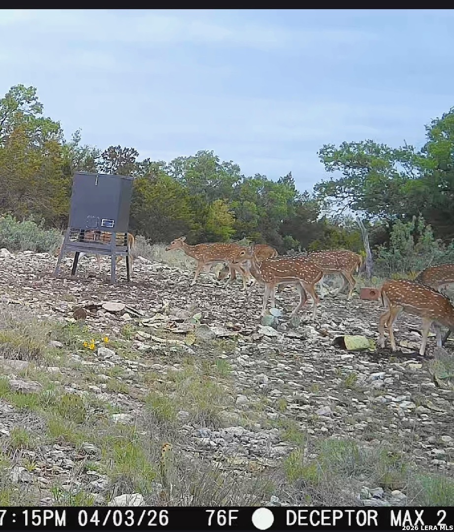 399 Spike Drive Fort Mckavett TX 76841