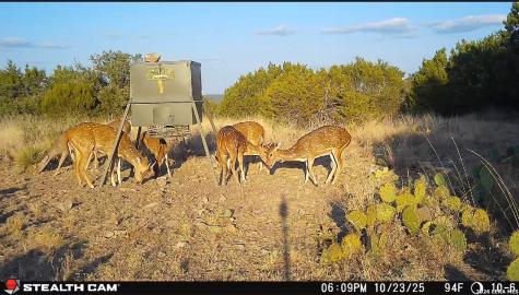399 Spike Drive Fort Mckavett TX 76841