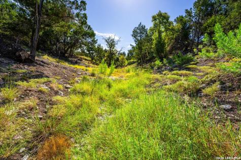 5579 Schneider Moellering Road Fredericksburg TX 78624