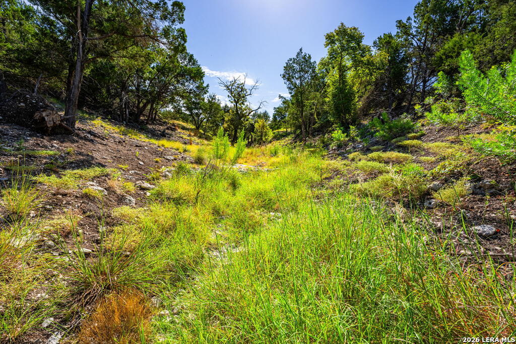 5579 Schneider Moellering Road Fredericksburg TX 78624