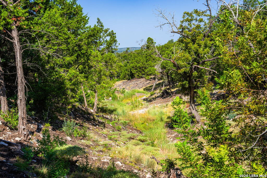 5579 Schneider Moellering Road Fredericksburg TX 78624