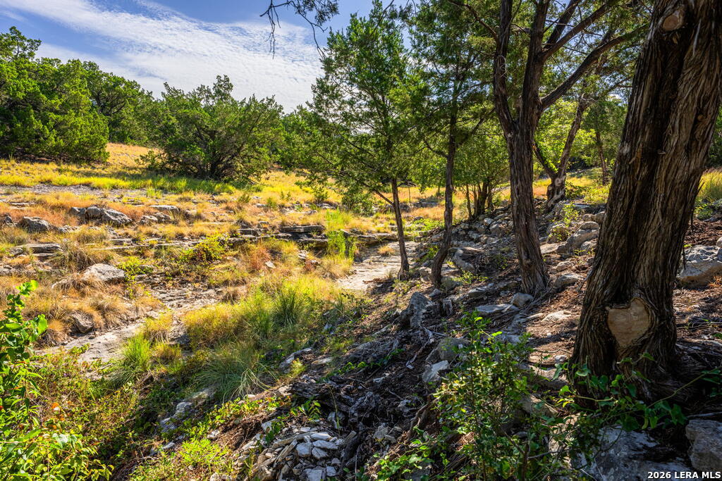5579 Schneider Moellering Road Fredericksburg TX 78624