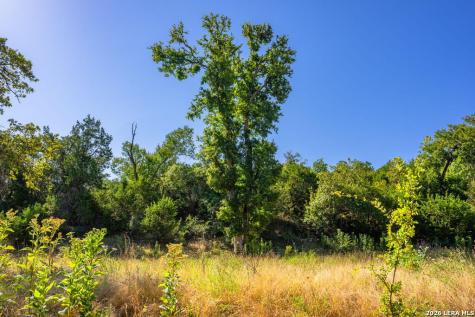 5579 Schneider Moellering Road Fredericksburg TX 78624