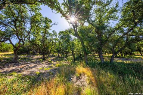5579 Schneider Moellering Road Fredericksburg TX 78624