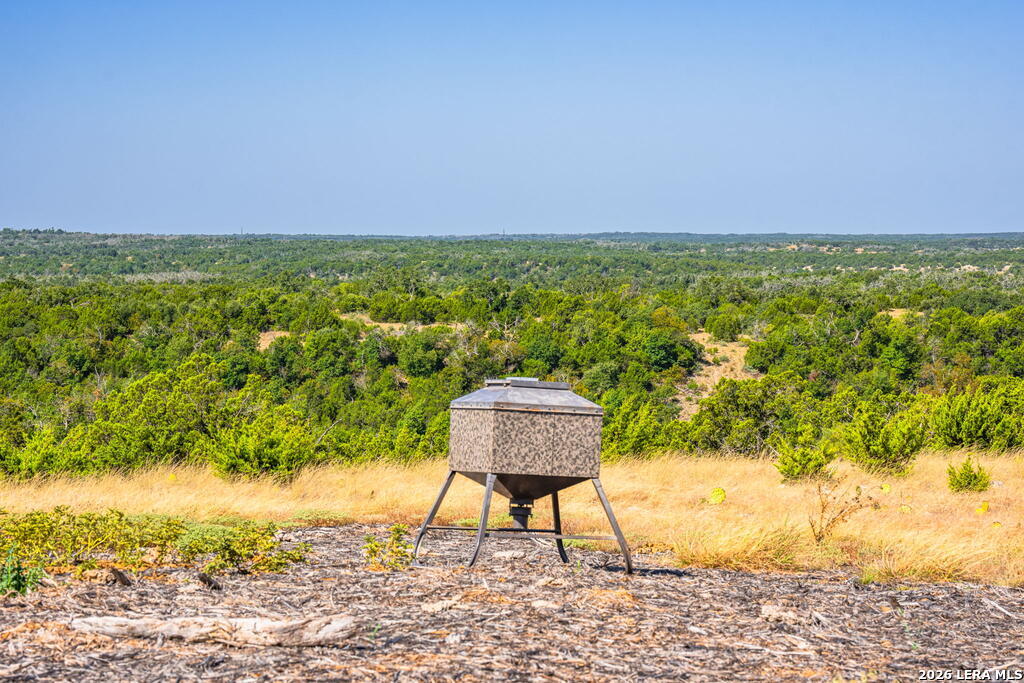 5579 Schneider Moellering Road Fredericksburg TX 78624