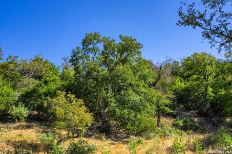 5579 Schneider Moellering Road Fredericksburg TX 78624