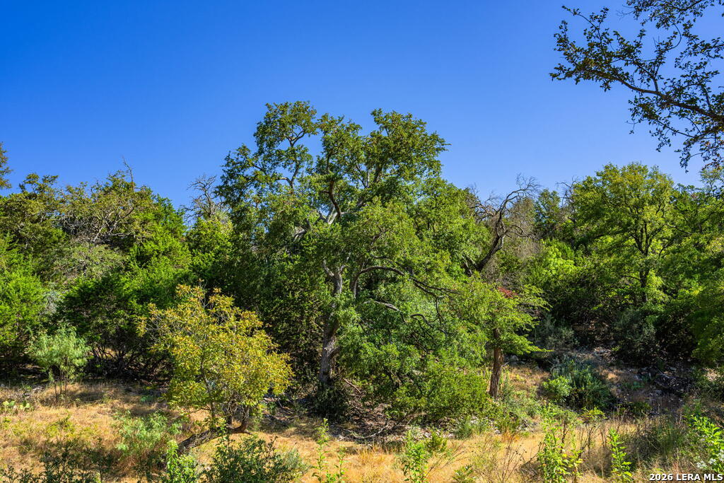 5579 Schneider Moellering Road Fredericksburg TX 78624