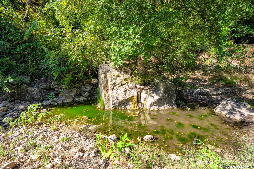 5579 Schneider Moellering Road Fredericksburg TX 78624