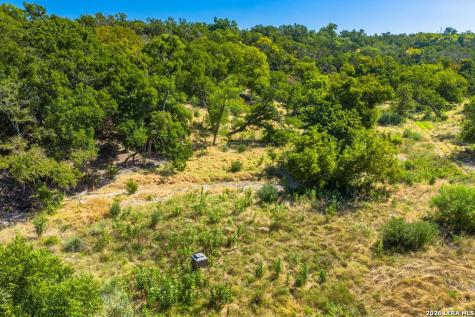 5579 Schneider Moellering Road Fredericksburg TX 78624