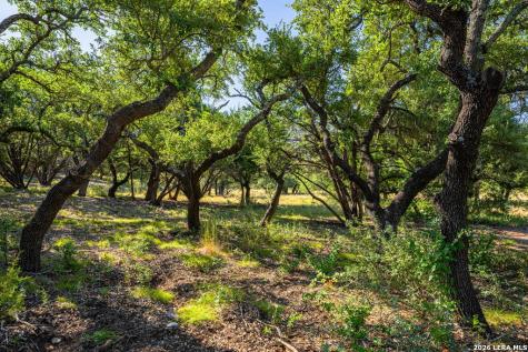 5579 Schneider Moellering Road Fredericksburg TX 78624