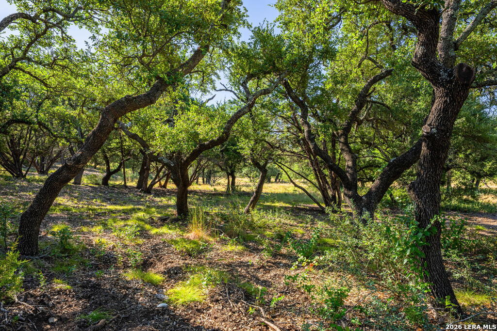 5579 Schneider Moellering Road Fredericksburg TX 78624