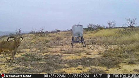 0 Kincaid Road Ozona TX 76943