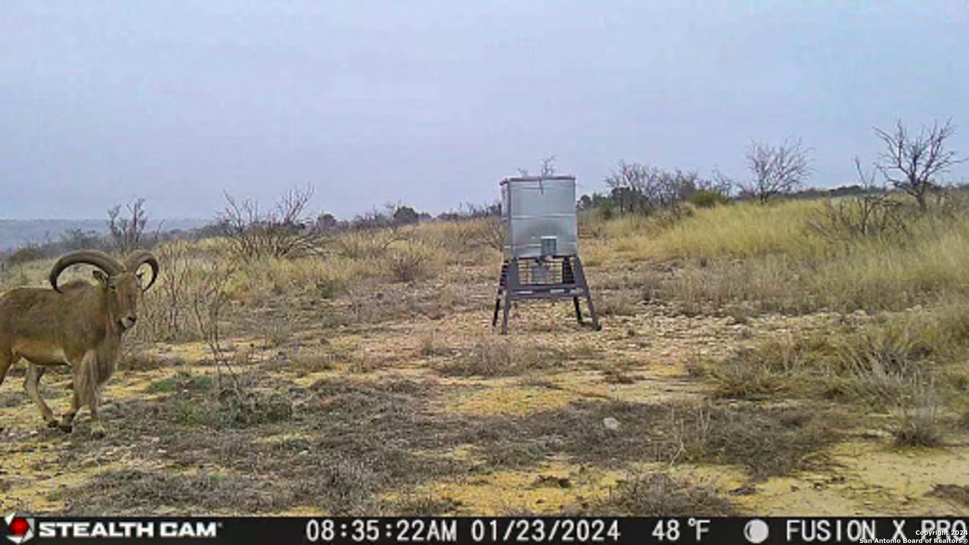 0 Kincaid Road Ozona TX 76943