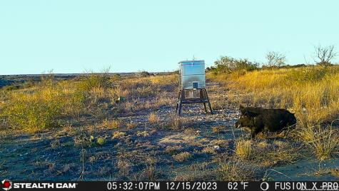 0 Kincaid Road Ozona TX 76943