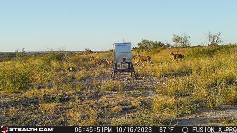 0 Kincaid Road Ozona TX 76943