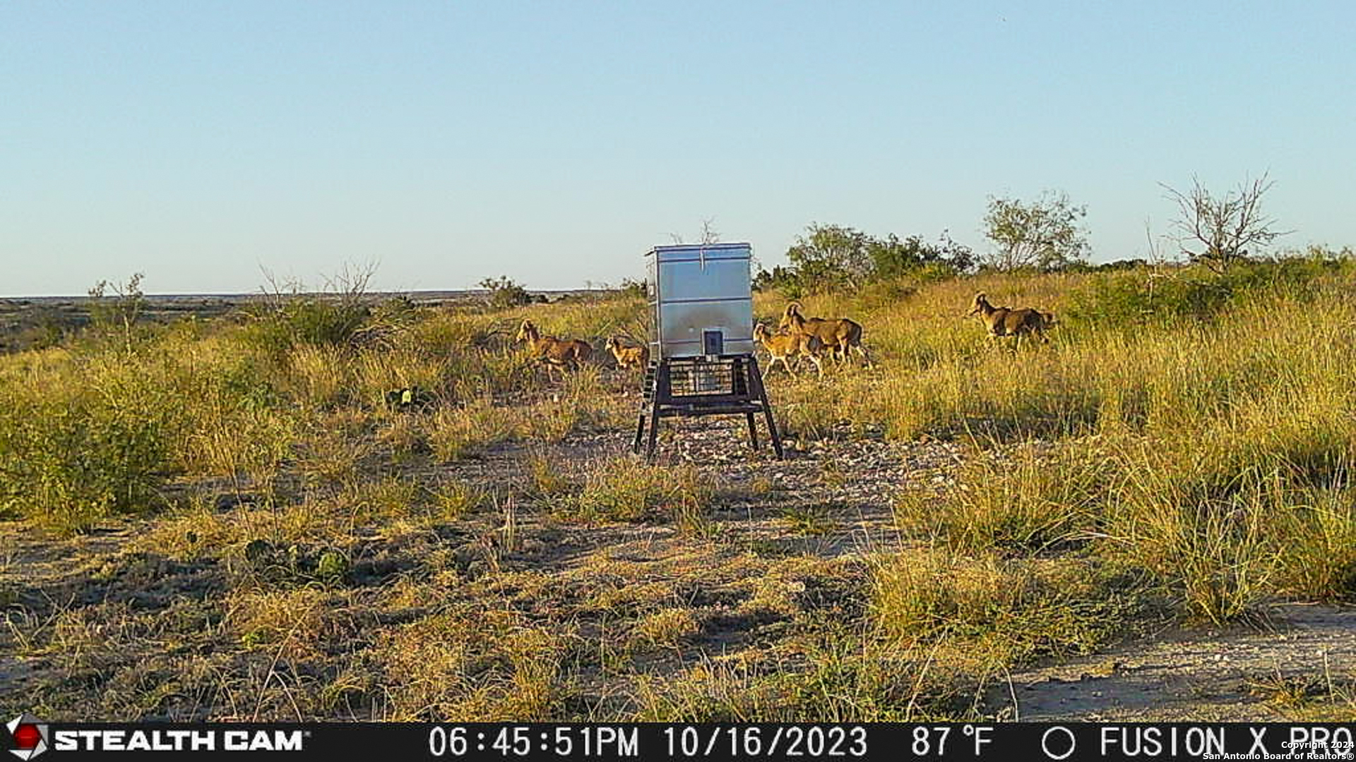 0 Kincaid Road Ozona TX 76943