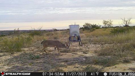 0 Kincaid Road Ozona TX 76943