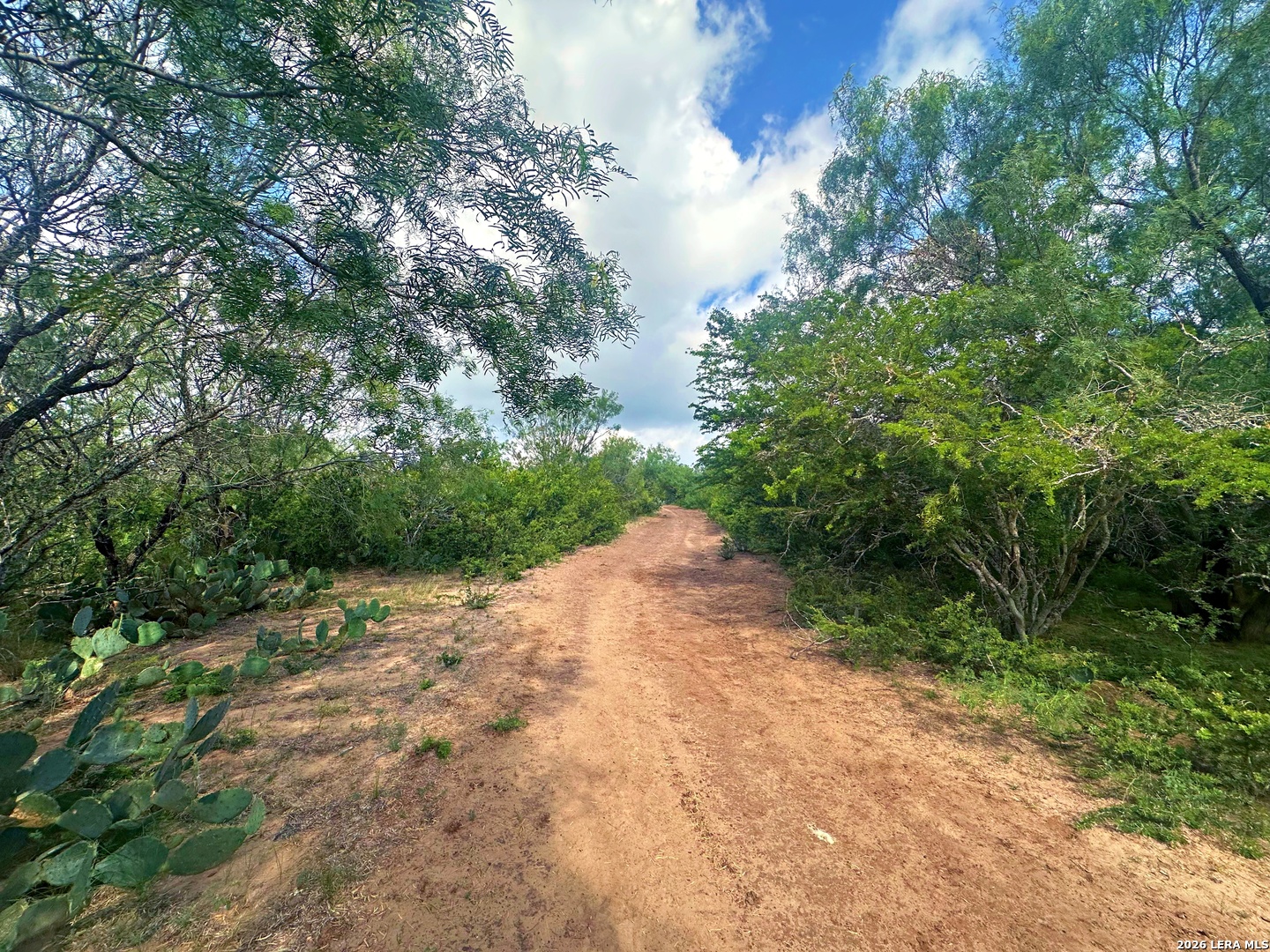 830 County Road 339 Jourdanton TX 78026
