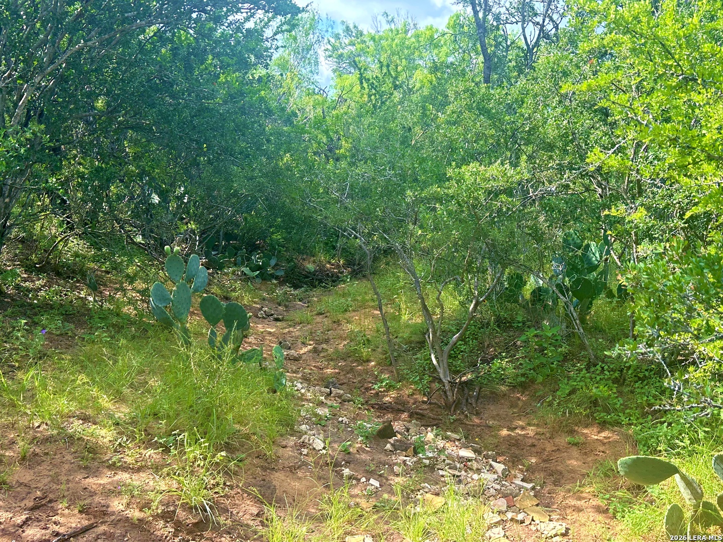 830 County Road 339 Jourdanton TX 78026
