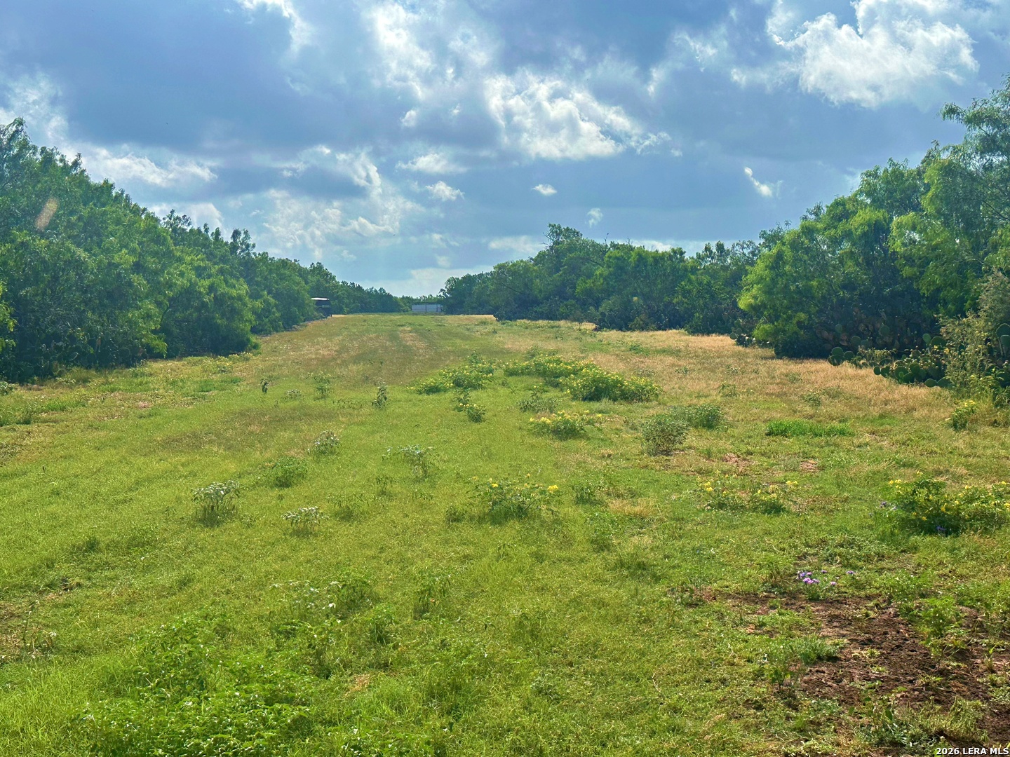 830 County Road 339 Jourdanton TX 78026