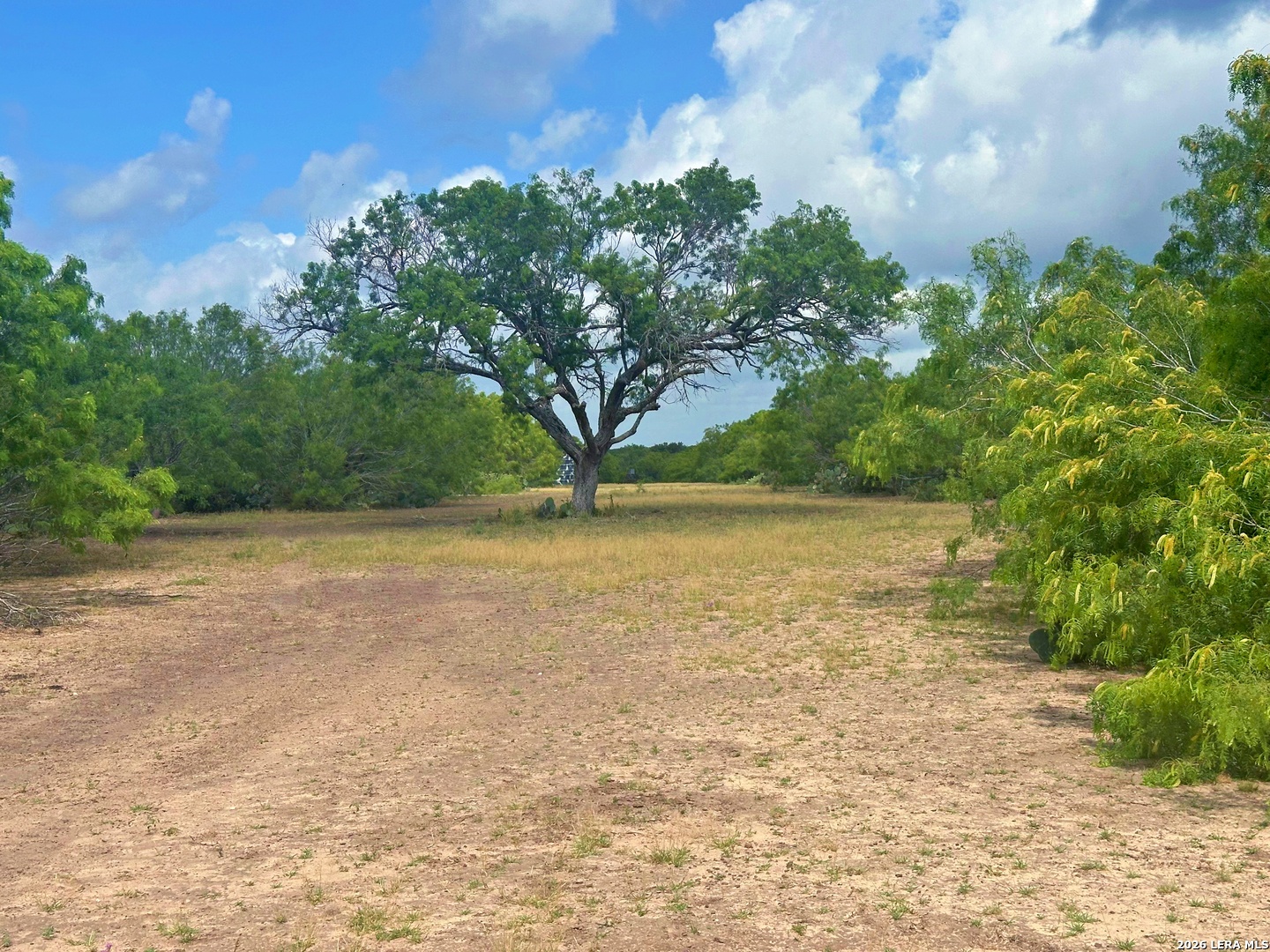 830 County Road 339 Jourdanton TX 78026
