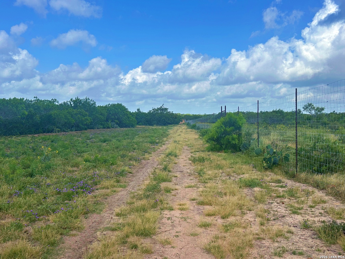 830 County Road 339 Jourdanton TX 78026