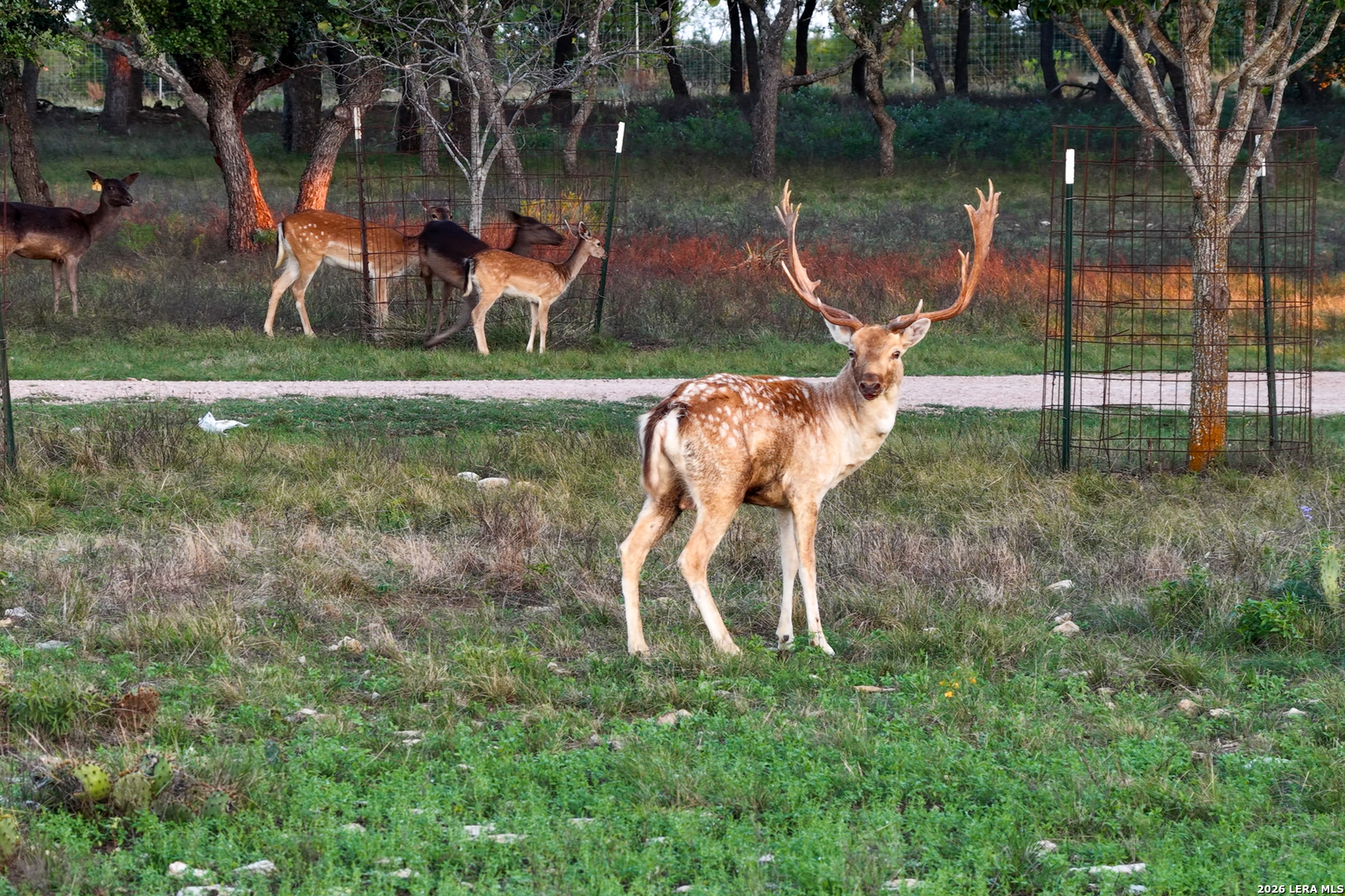 3701 Highway 41 Mountain Home TX 78058