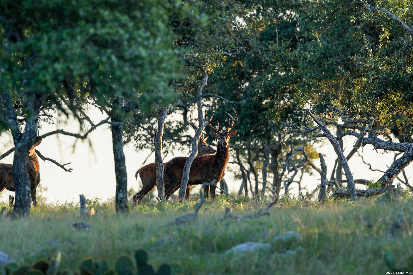 3701 Highway 41 Mountain Home TX 78058