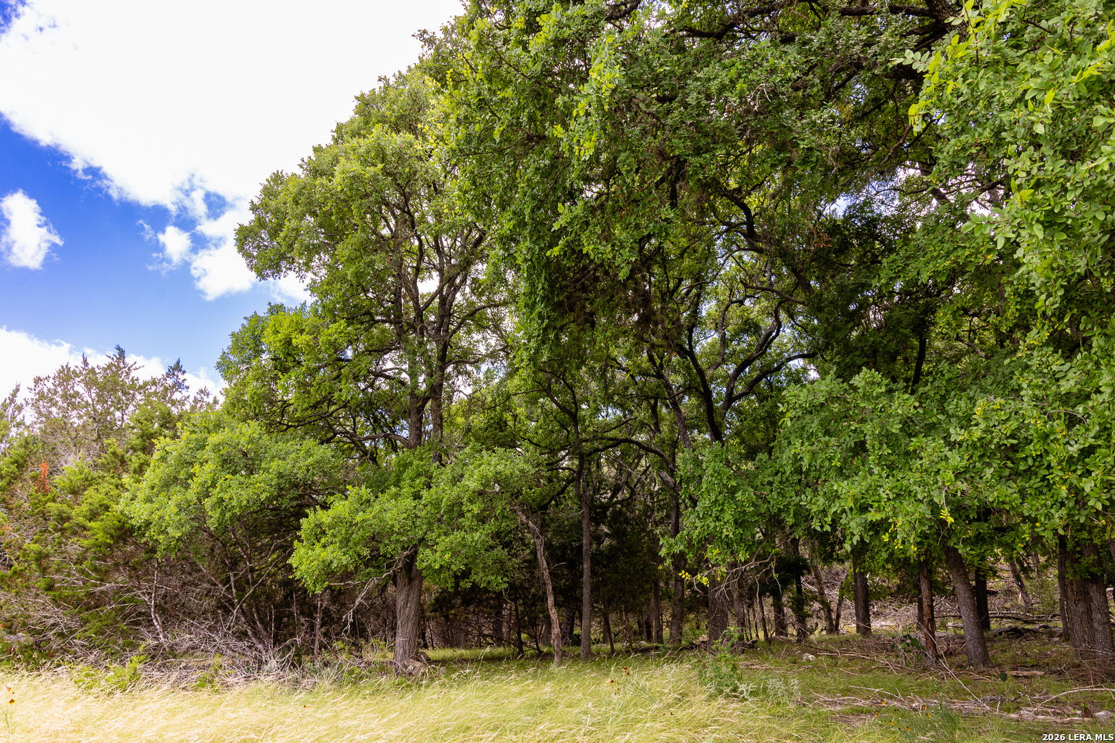 289 Hoot Owl Hollow Ingram TX 78025