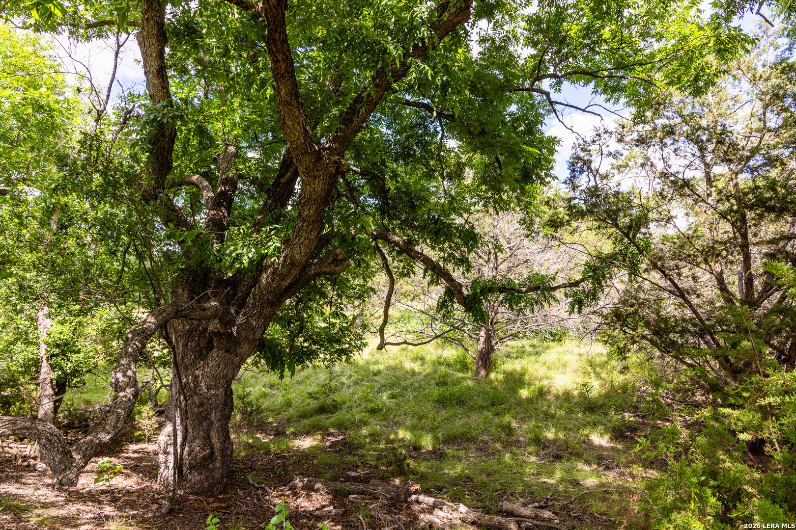 289 Hoot Owl Hollow Ingram TX 78025